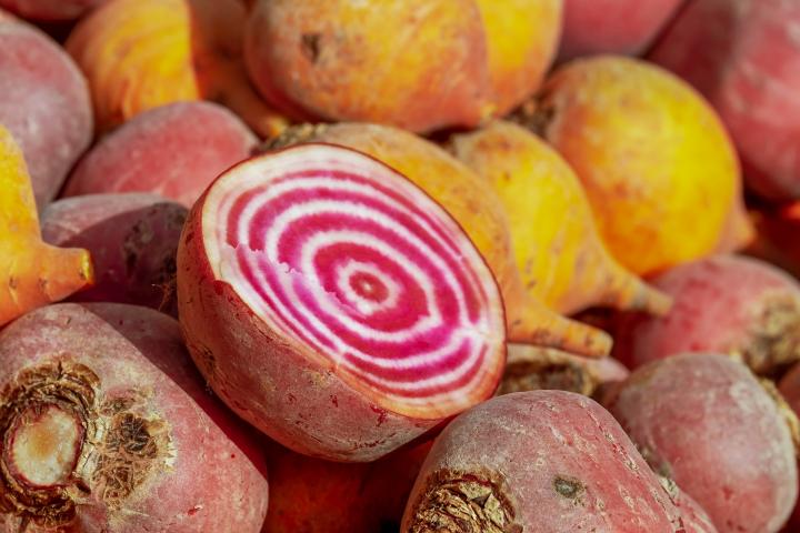 Beet with rings of red and white